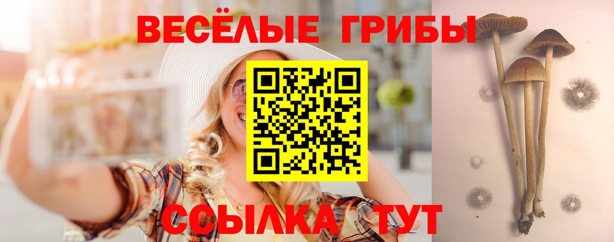 Псилоцибиновые грибы Cubensis Медногорск